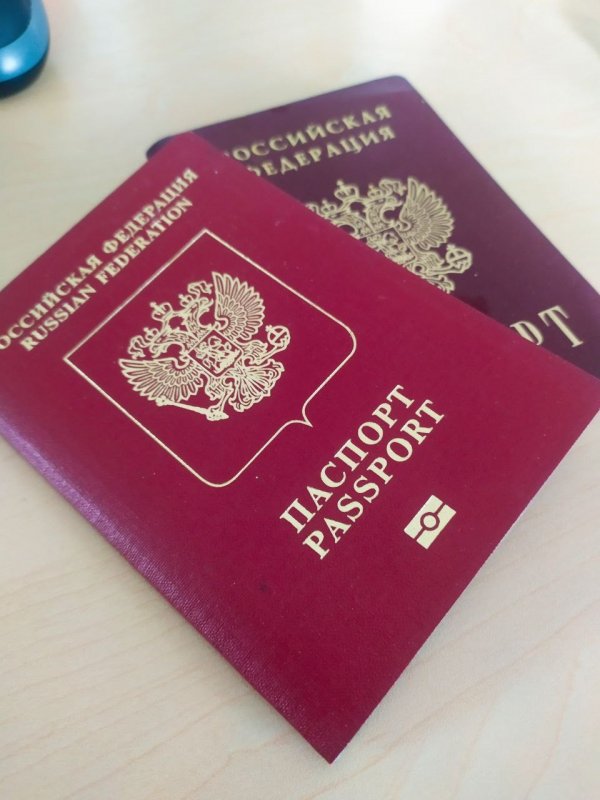 Совфед одобрил закон об изъятии загранпаспортов у призванных на службу россиян - «Экономика»