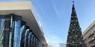 Кто приглашает новосибирцев «новогодничать» у новой праздничной ели? - «Финансы»