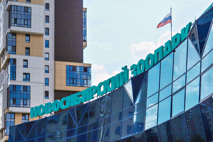 Господдержка — как залог эффективности: Новосибирский зоопарк опубликовал бухгалтерскую отчетность за 2025 год - «Финансы»